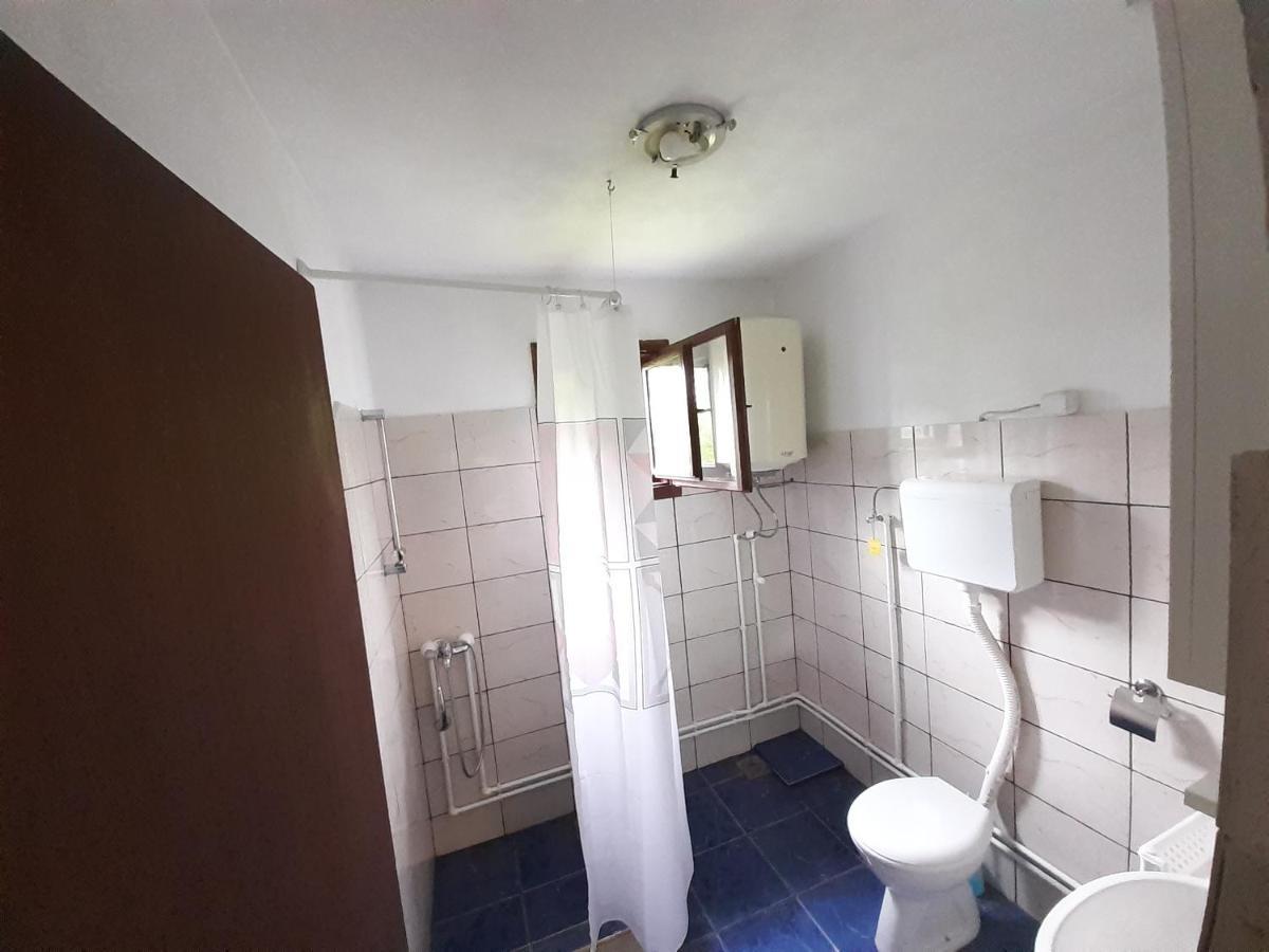 Kuca Za Odmor Radovanovic Despotovac Buitenkant foto