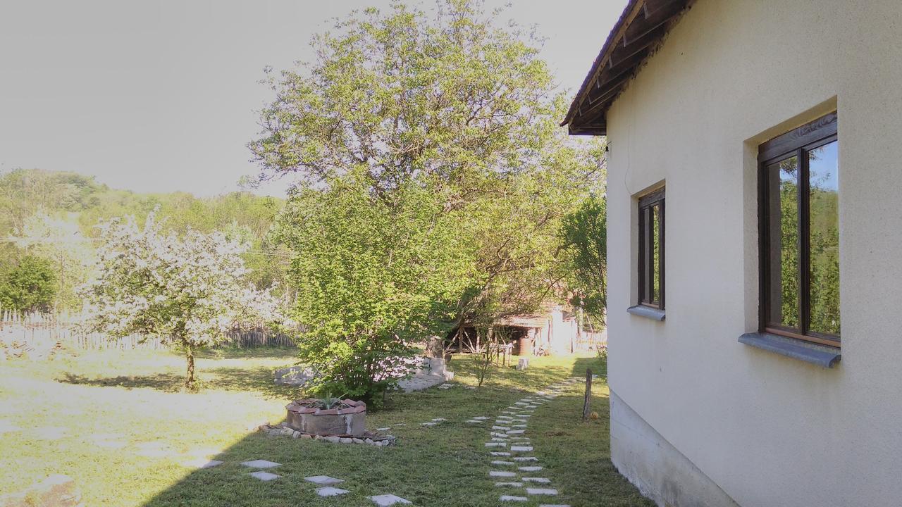 Kuca Za Odmor Radovanovic Despotovac Buitenkant foto