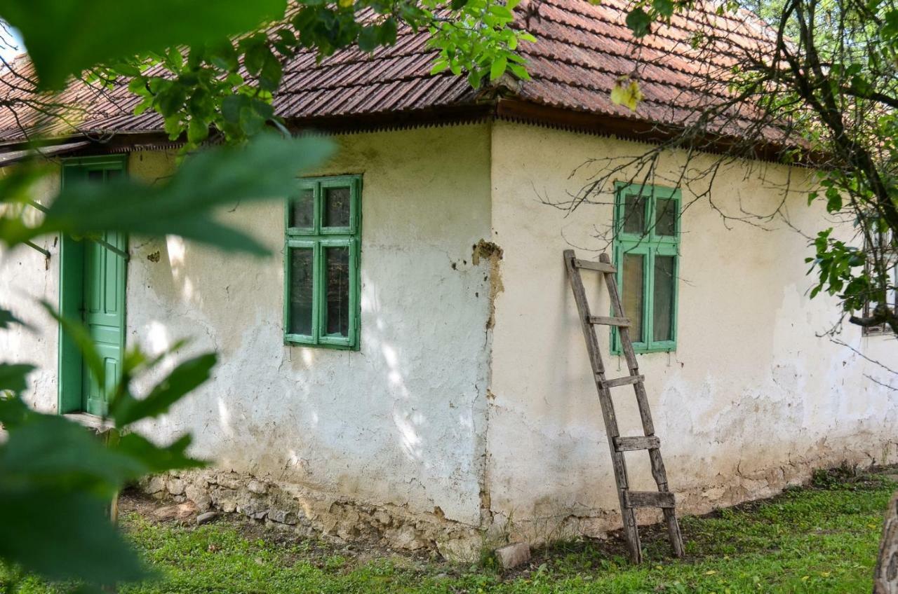 Kuca Za Odmor Radovanovic Despotovac Buitenkant foto