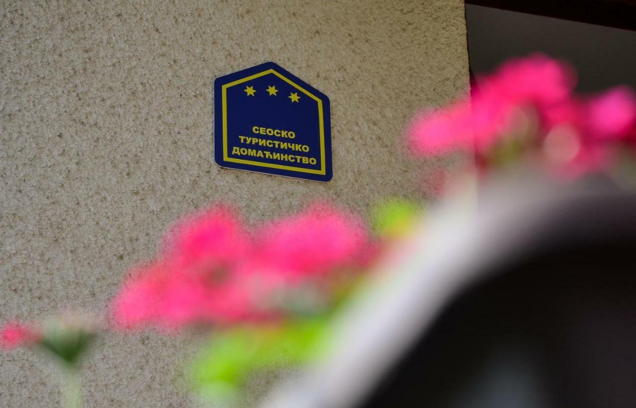 Kuca Za Odmor Radovanovic Despotovac Buitenkant foto
