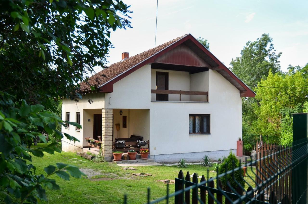 Kuca Za Odmor Radovanovic Despotovac Buitenkant foto