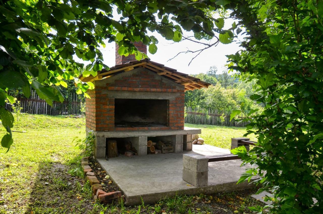 Kuca Za Odmor Radovanovic Despotovac Buitenkant foto