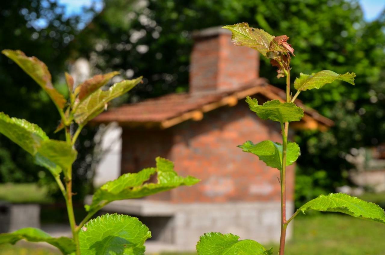 Kuca Za Odmor Radovanovic Despotovac Buitenkant foto