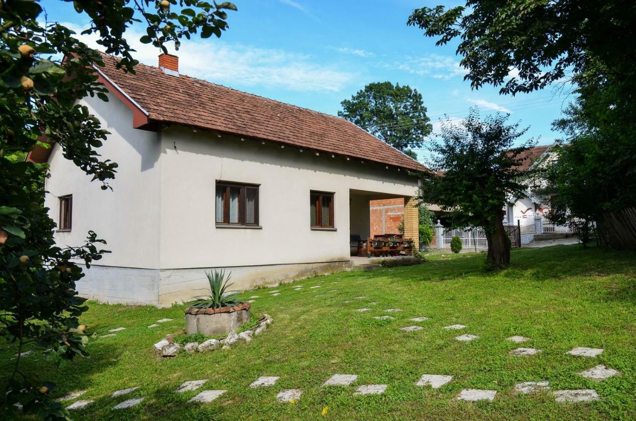 Kuca Za Odmor Radovanovic Despotovac Buitenkant foto