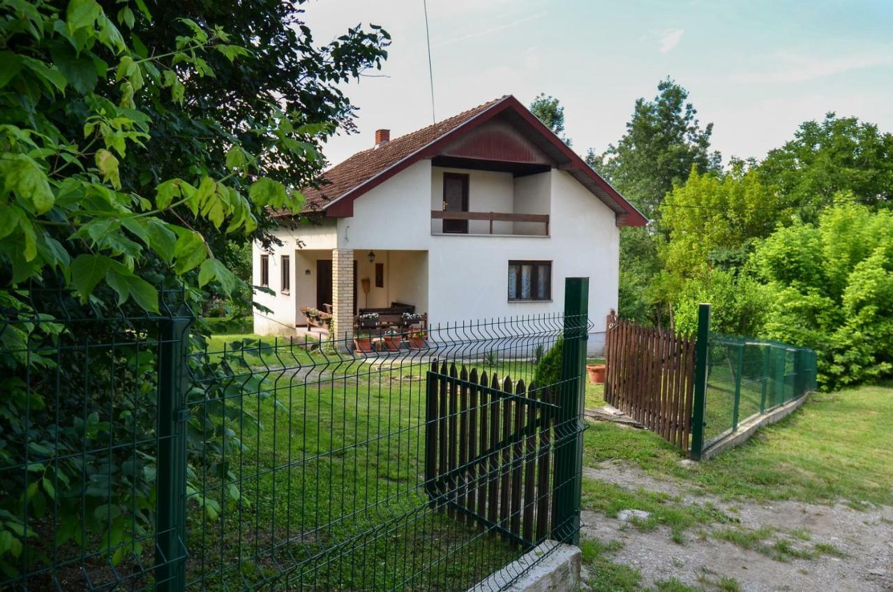 Kuca Za Odmor Radovanovic Despotovac Buitenkant foto