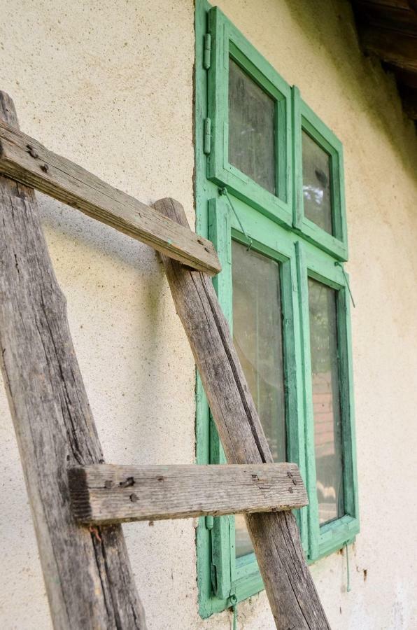 Kuca Za Odmor Radovanovic Despotovac Buitenkant foto