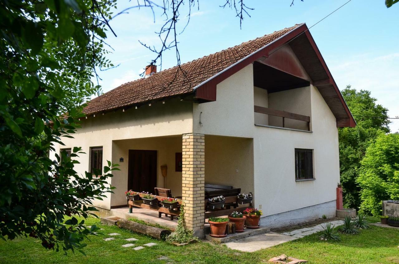 Kuca Za Odmor Radovanovic Despotovac Buitenkant foto