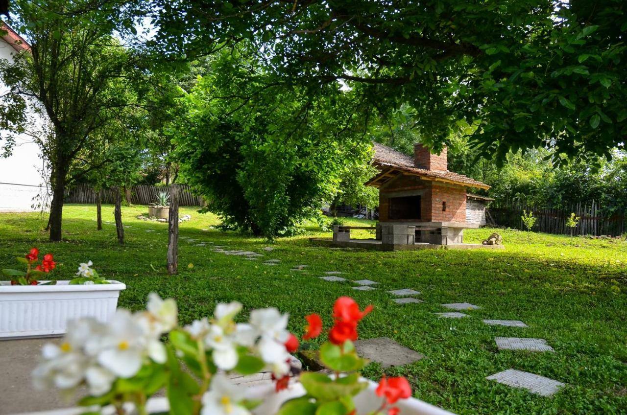 Kuca Za Odmor Radovanovic Despotovac Buitenkant foto
