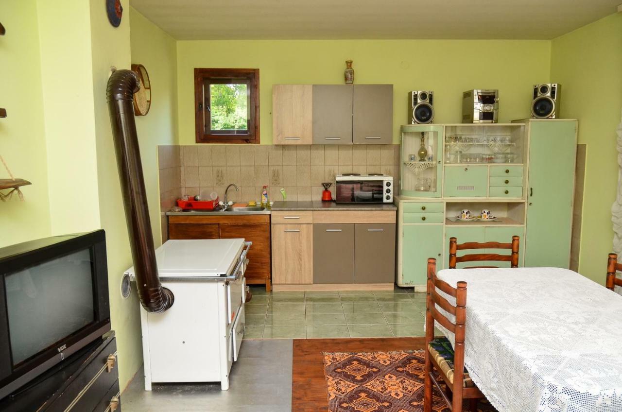 Kuca Za Odmor Radovanovic Despotovac Buitenkant foto