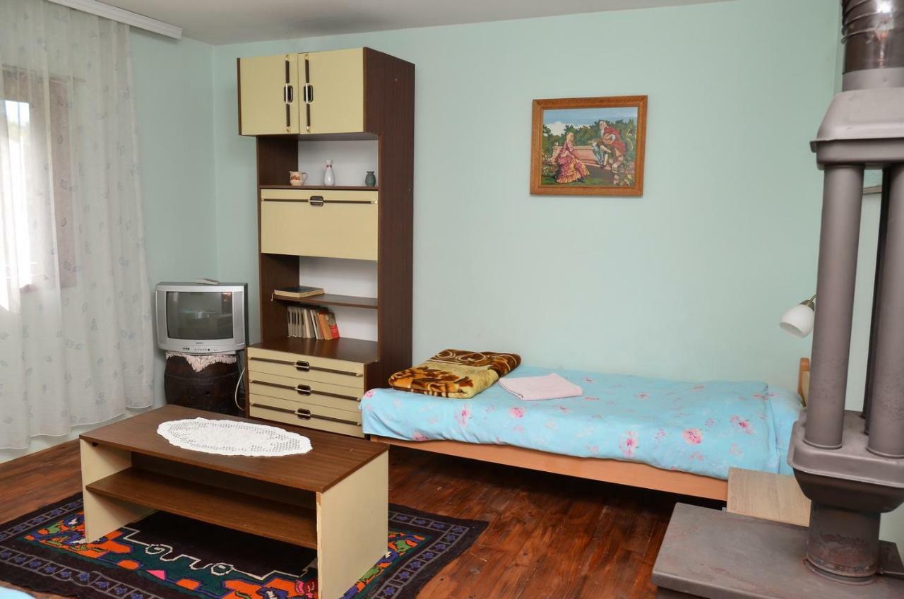 Kuca Za Odmor Radovanovic Despotovac Buitenkant foto
