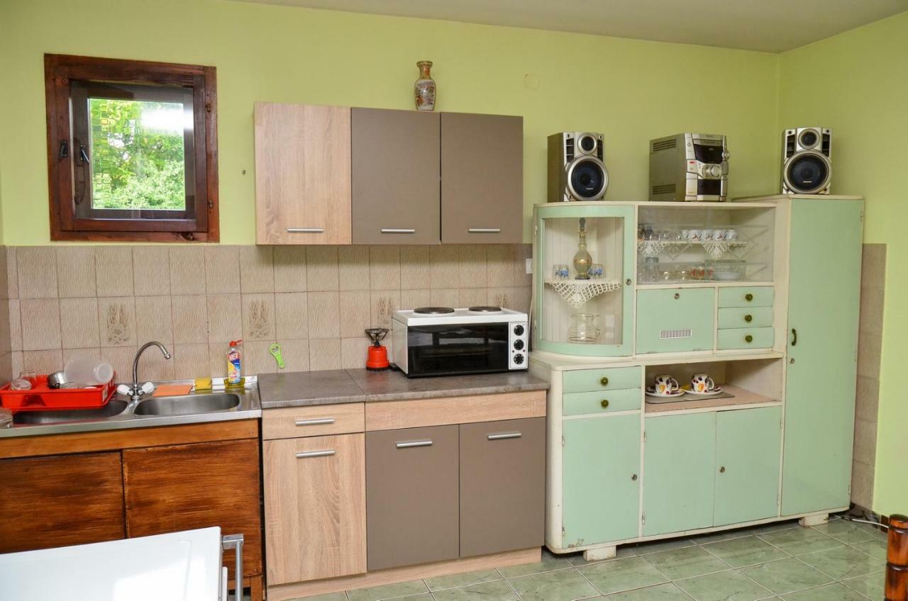 Kuca Za Odmor Radovanovic Despotovac Buitenkant foto